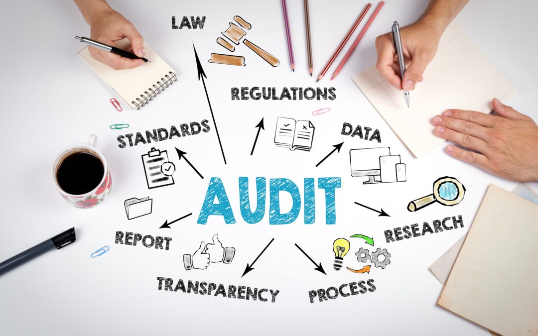 L’audit, ou la révision des comptes des entreprises en Suisse