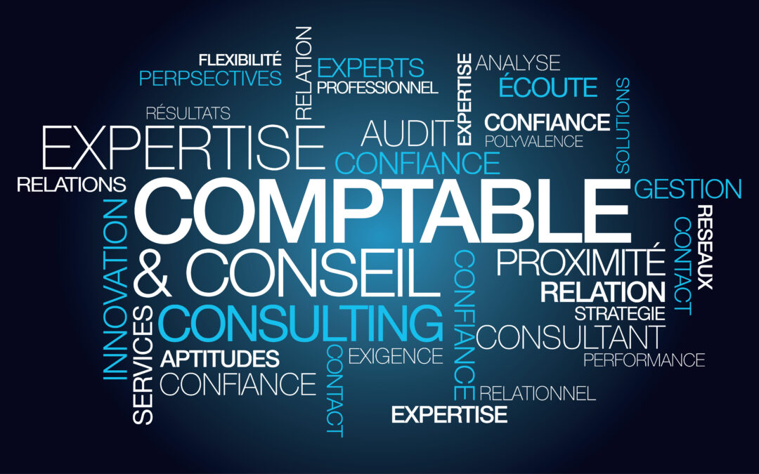 Audit et révision de sociétés en Suisse