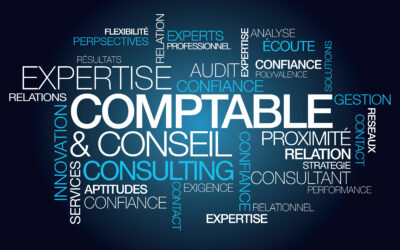 Audit et révision de sociétés en Suisse