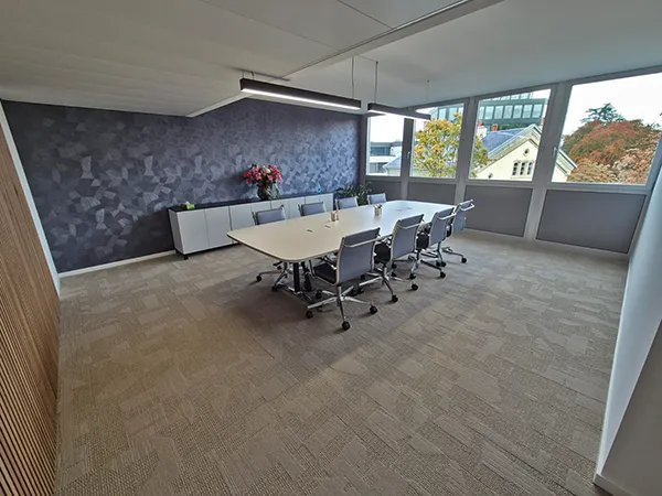 Salle de conférence RISTER Genève