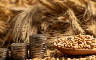Comercio de materias primas en Ginebra: crear la sociedad sin licencia y las tres fronteras que la convierten en una empresa regulada